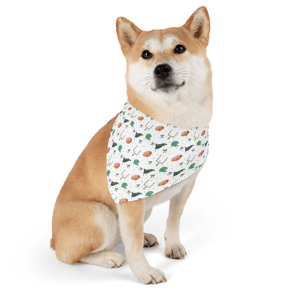 Eagles Pet Bandana Collar