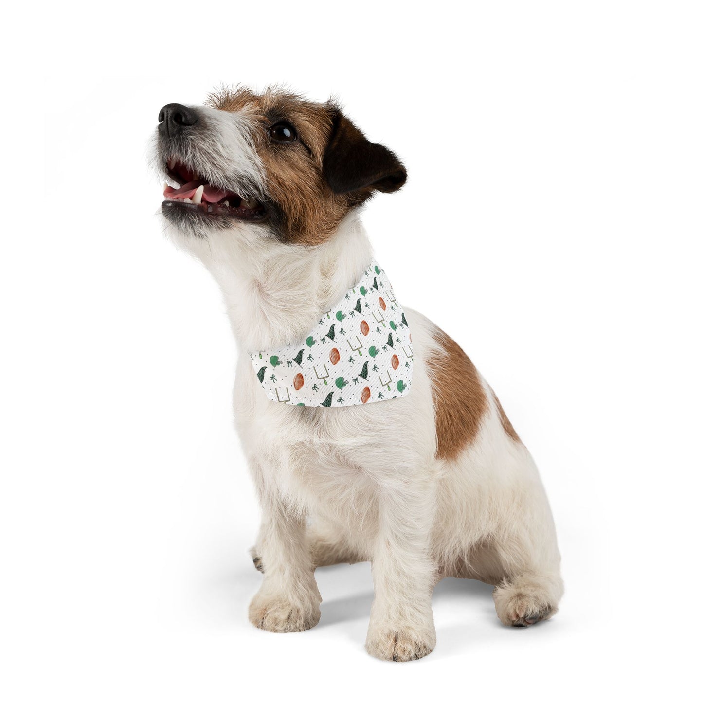 Eagles Pet Bandana Collar