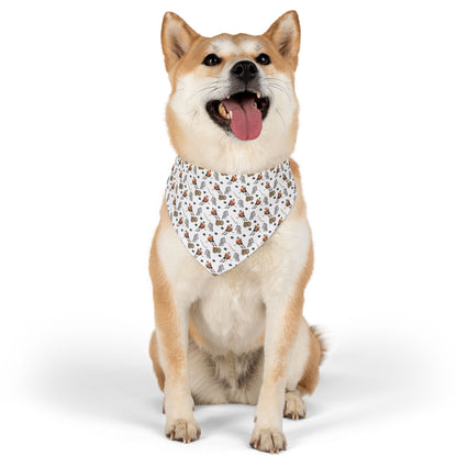 Flyers Pet Bandana Collar