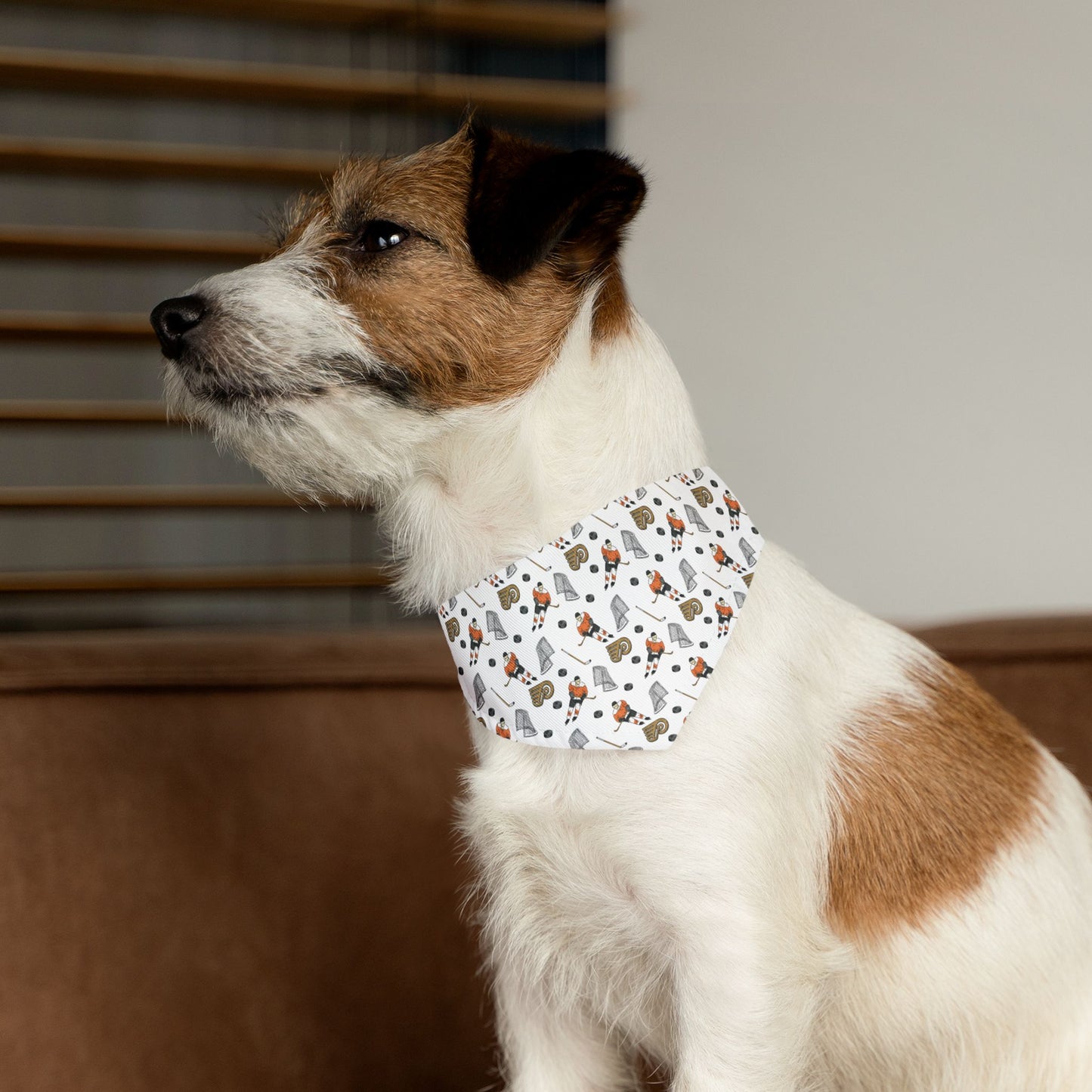 Flyers Pet Bandana Collar