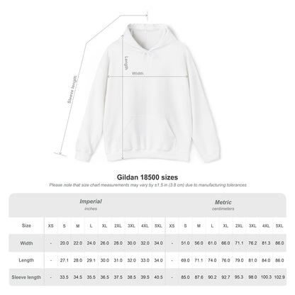 Fly Guys Hooded Sweatshirt
