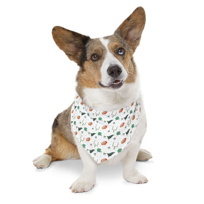Eagles Pet Bandana Collar